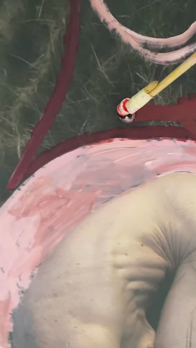 Post 6 by Gabriela Hirt 🧑🏻‍🎨 on Instagram (video)