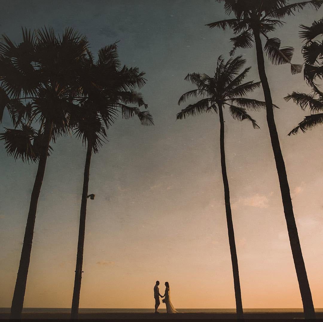 Post 10 by ALMA // photography + films on Instagram (image)