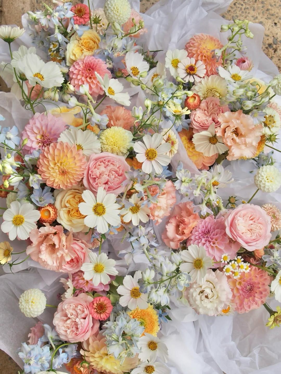 Post 5 by Rosie & Family ~ Adelaide Hills Florist on Instagram (image)