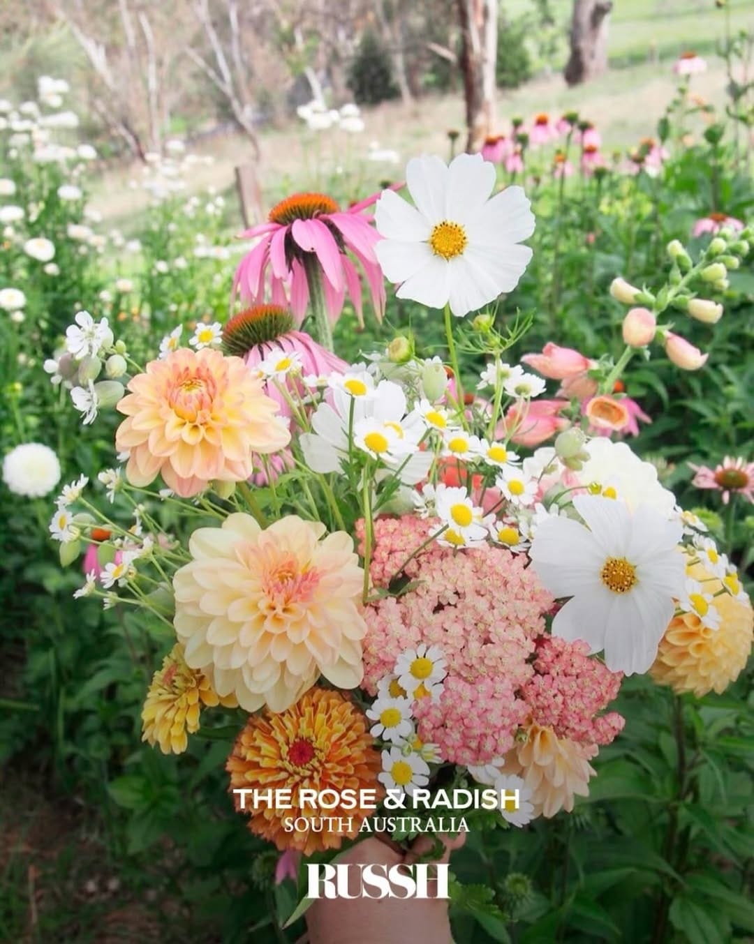 Post 6 by Rosie & Family ~ Adelaide Hills Florist on Instagram (carousel)
