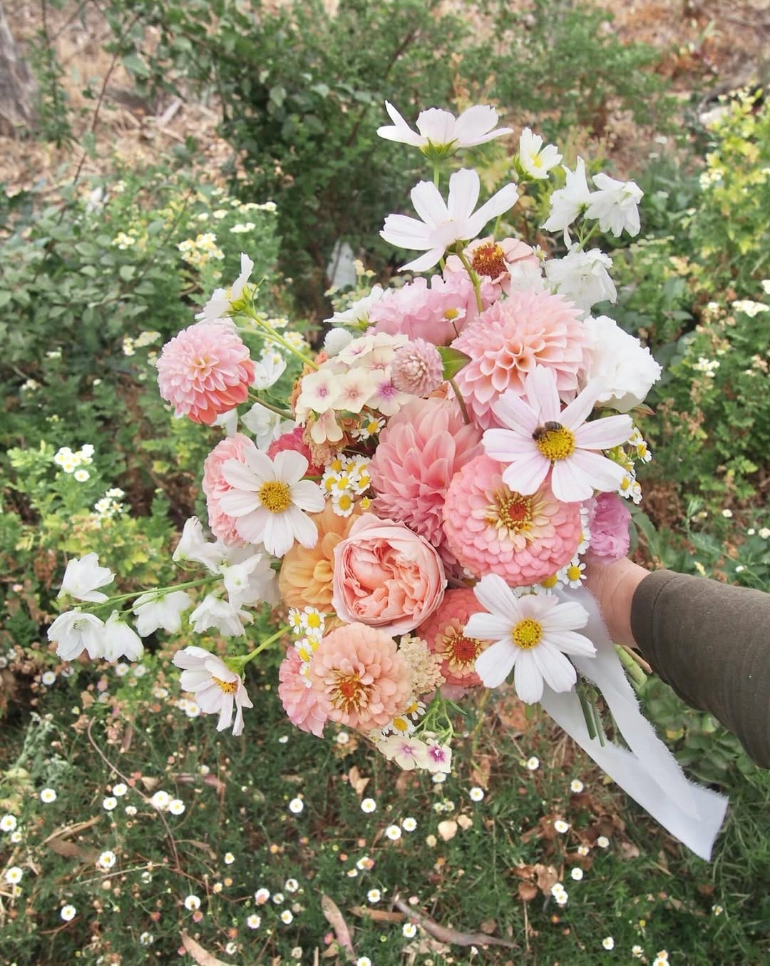 Post 10 by Rosie & Family ~ Adelaide Hills Florist on Instagram (image)