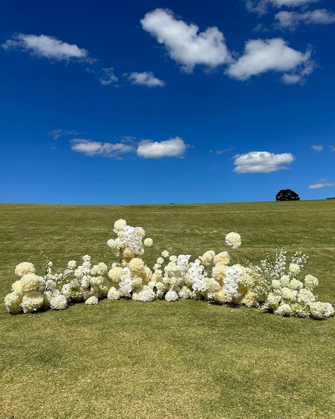 Post 8 by MELBOURNE PREMIUM FLORIST - Loved By 2,854+ Customers on Instagram (carousel)