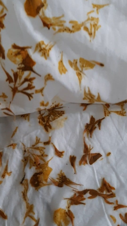 Post 7 by Ecoprint and botanical colors on Instagram (video)