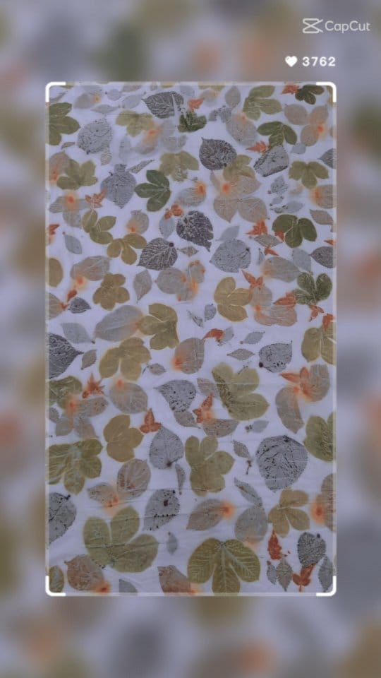 Post 8 by Ecoprint and botanical colors on Instagram (video)