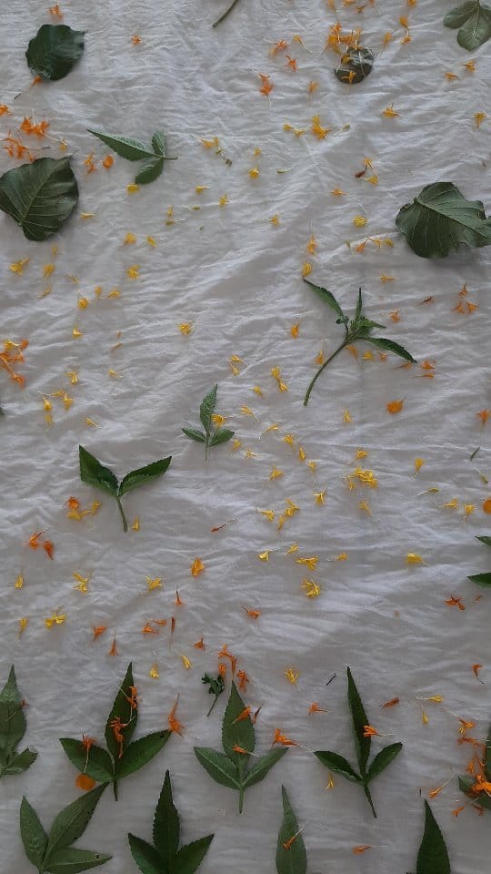 Post 4 by Ecoprint and botanical colors on Instagram (video)