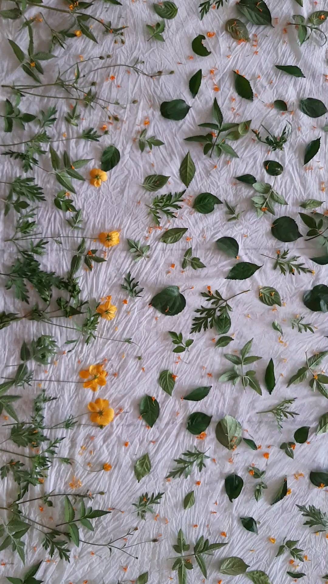 Post 5 by Ecoprint and botanical colors on Instagram (video)