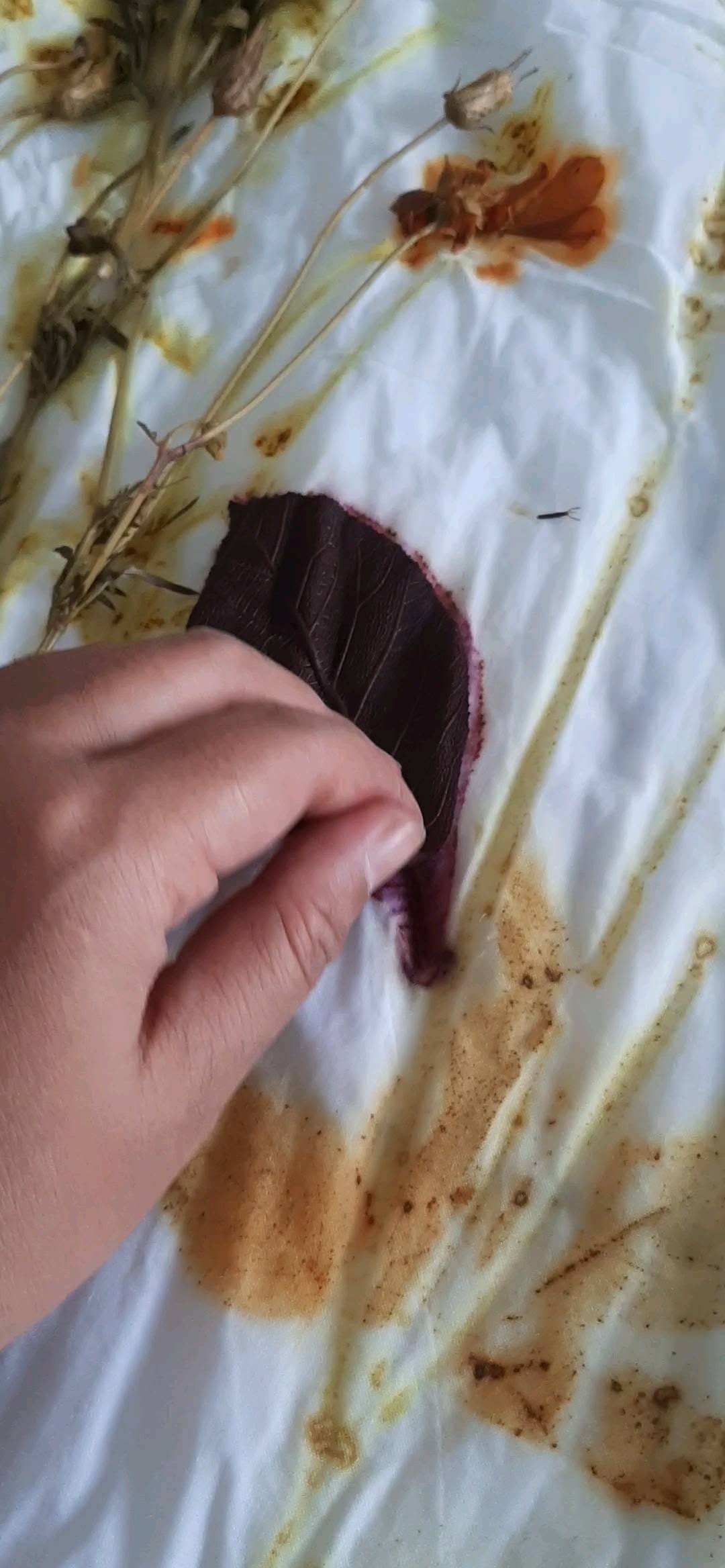 Post 9 by Ecoprint and botanical colors on Instagram (video)