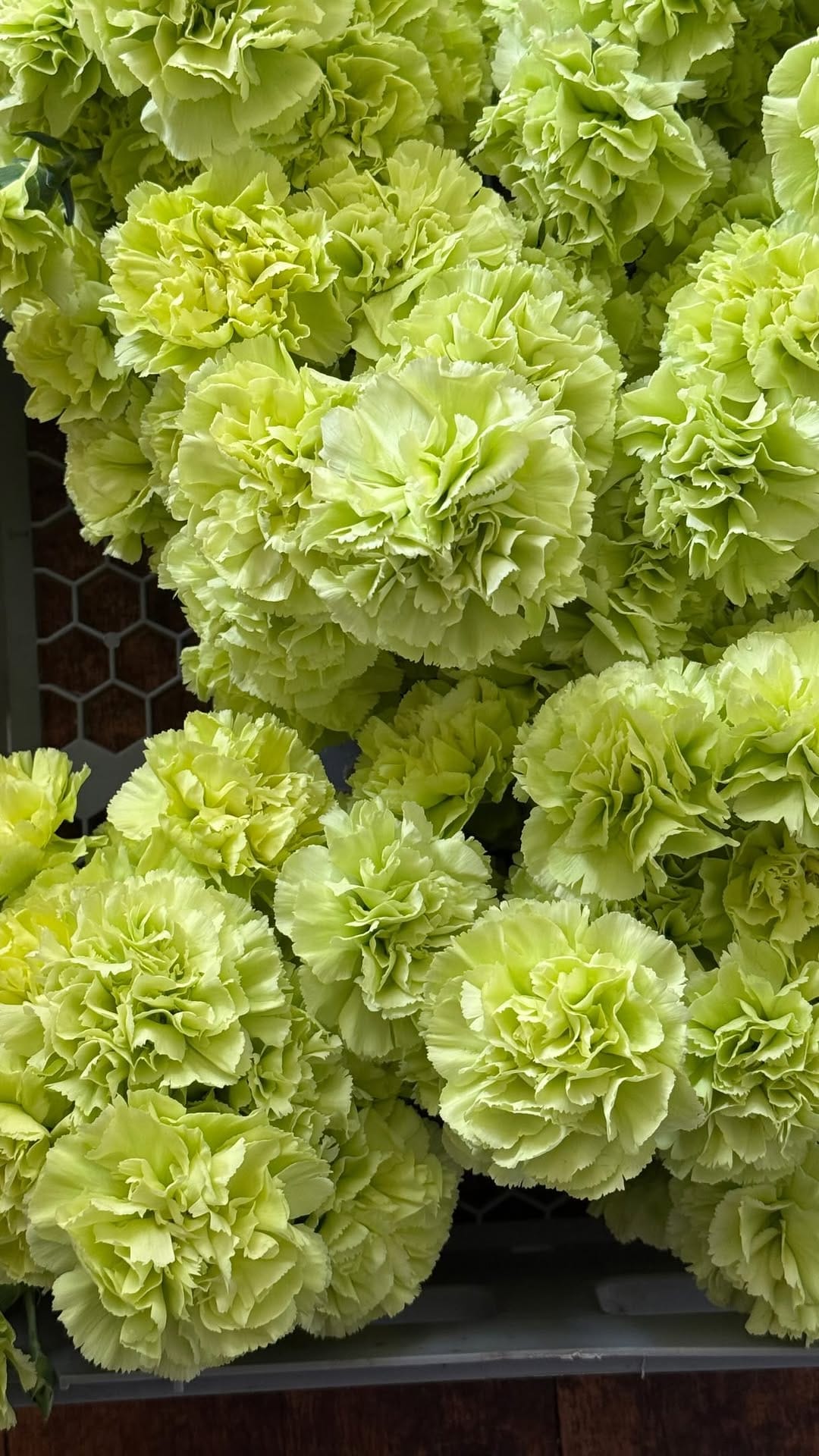 Post 3 by Flowers On The Mill on Instagram (video)