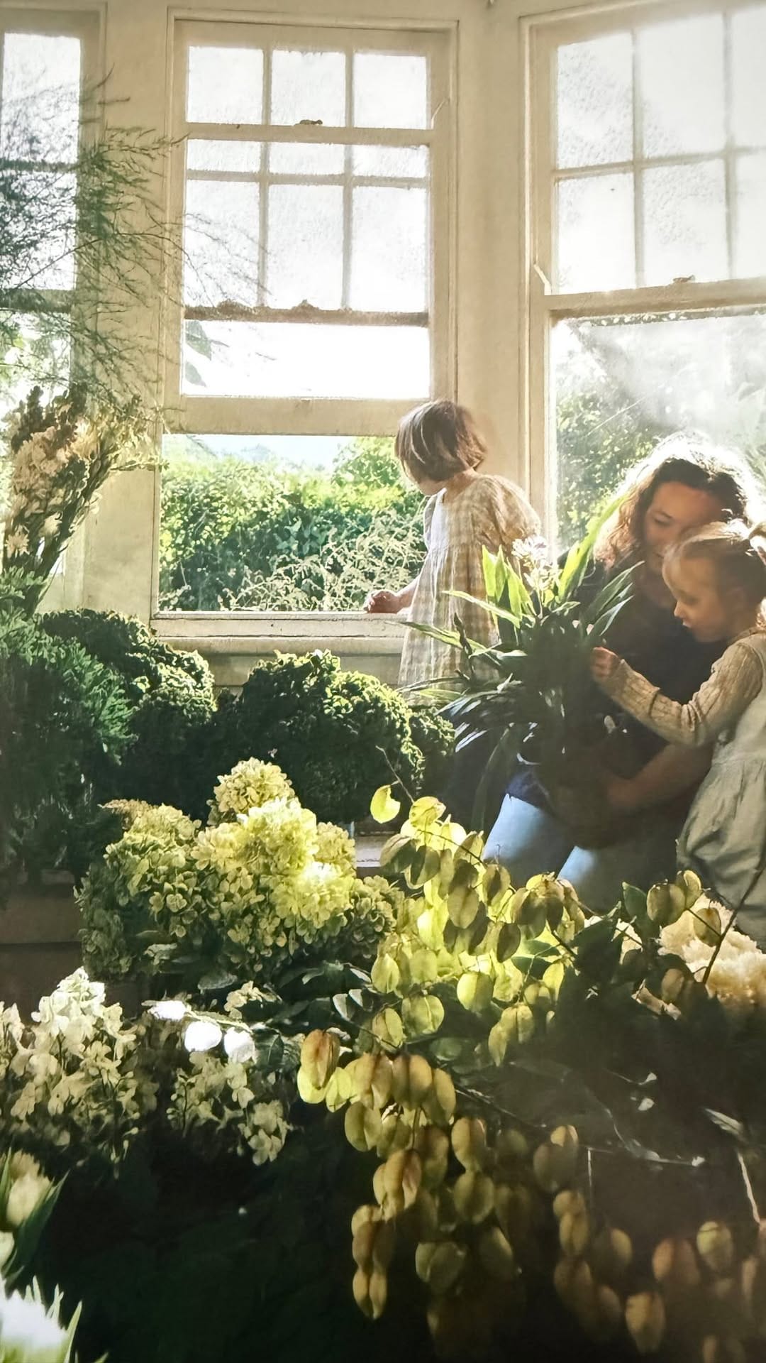 Post 1 by Flowers On The Mill on Instagram (video)