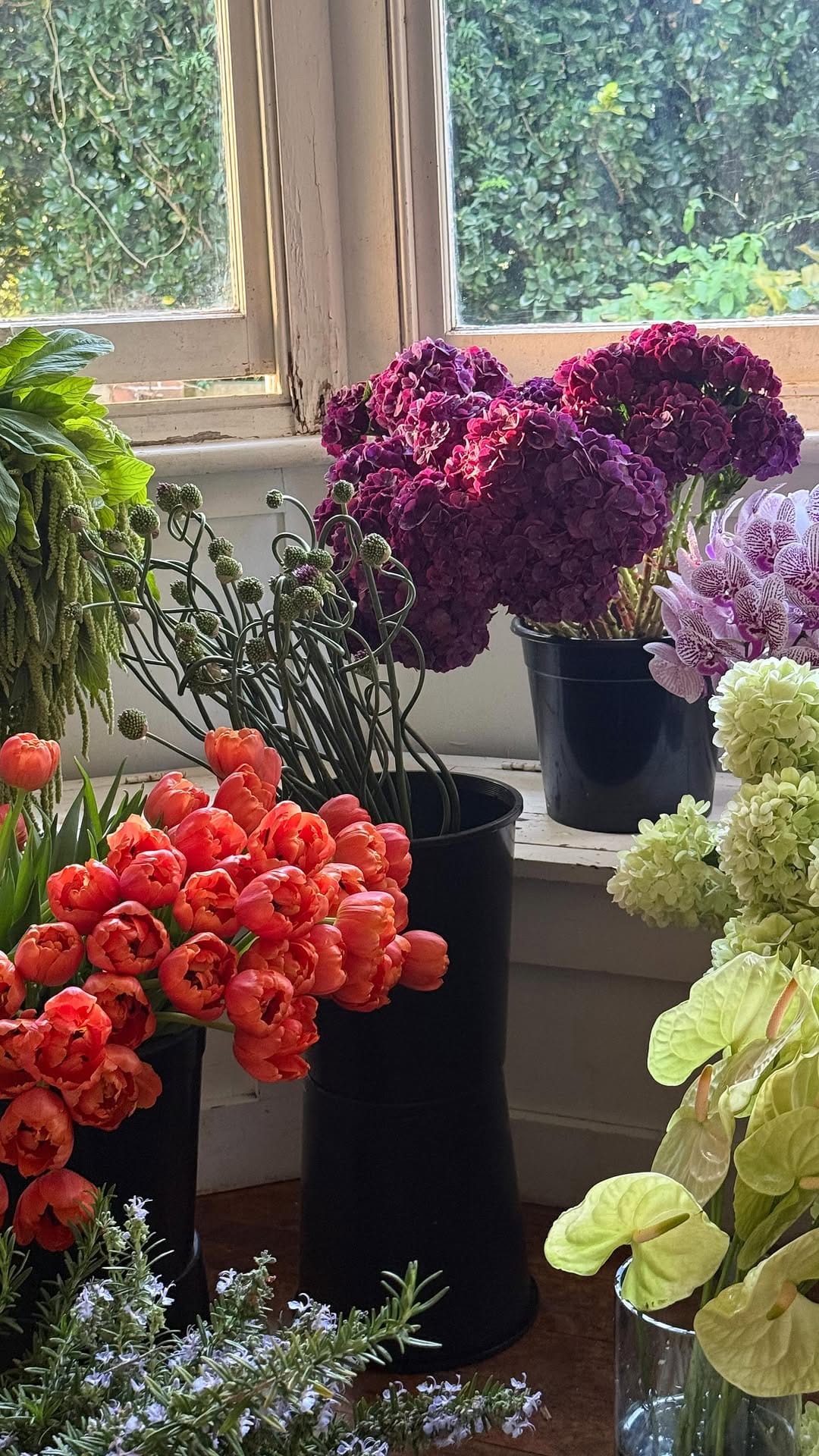 Post 7 by Flowers On The Mill on Instagram (video)