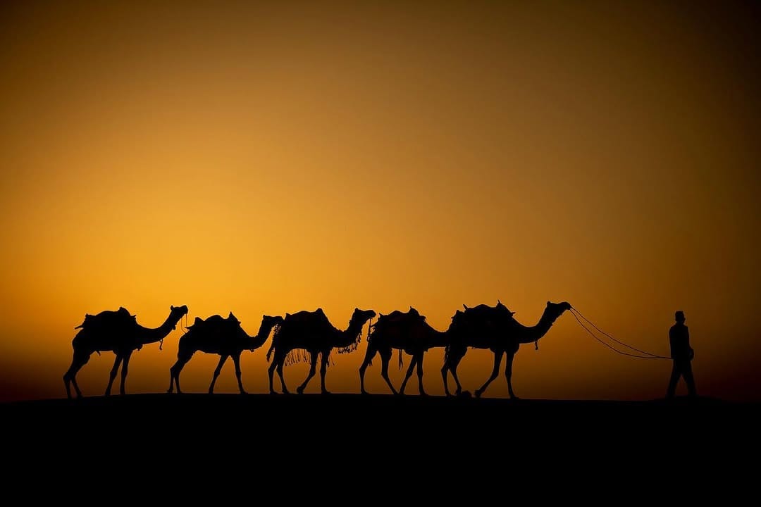 Post 7 by Neil Ruskin on Instagram (image)