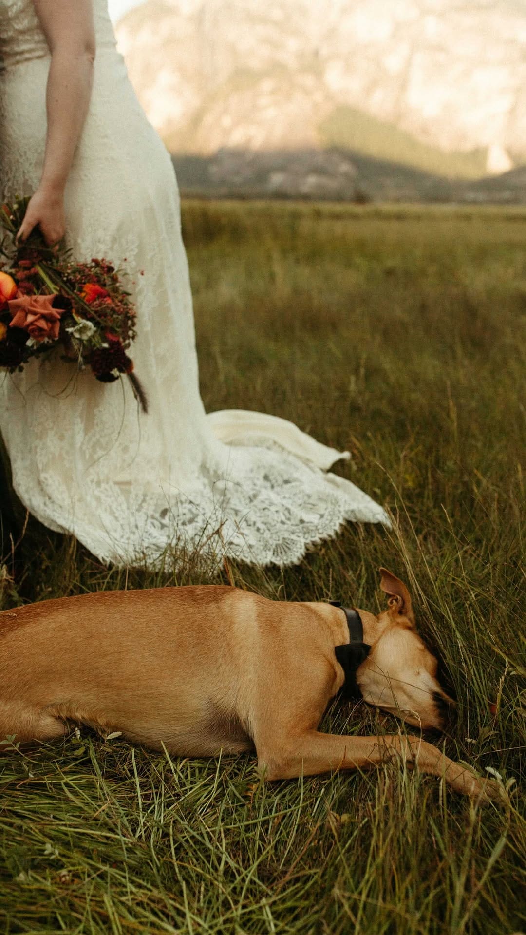 Post 5 by Canadian Weddings on Instagram (video)
