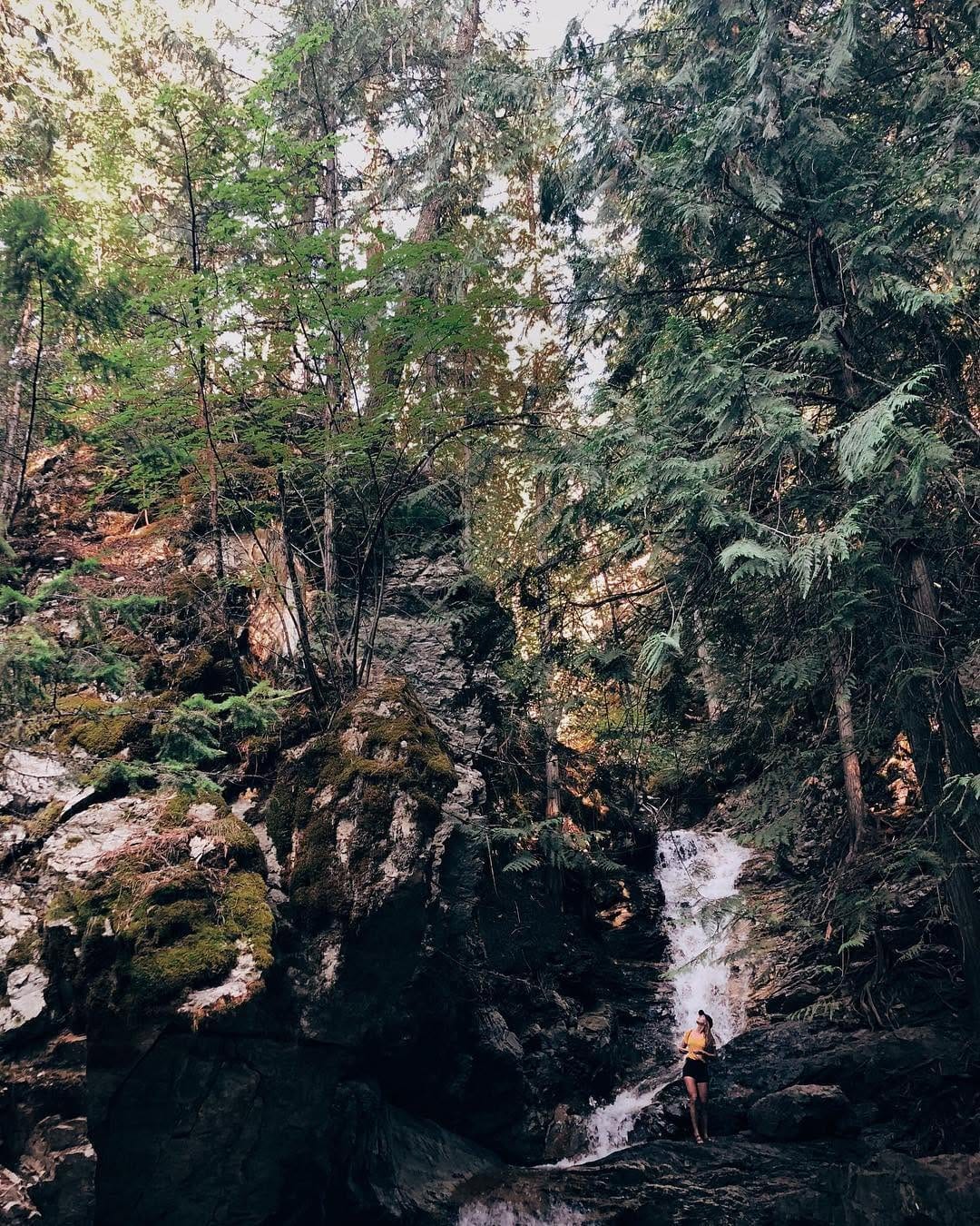 Post 9 by Rob Johnson on Instagram (image)