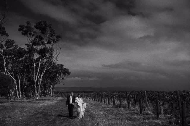Post 2 by Adelaide Photographer - Commercial + Wedding on Instagram (video)
