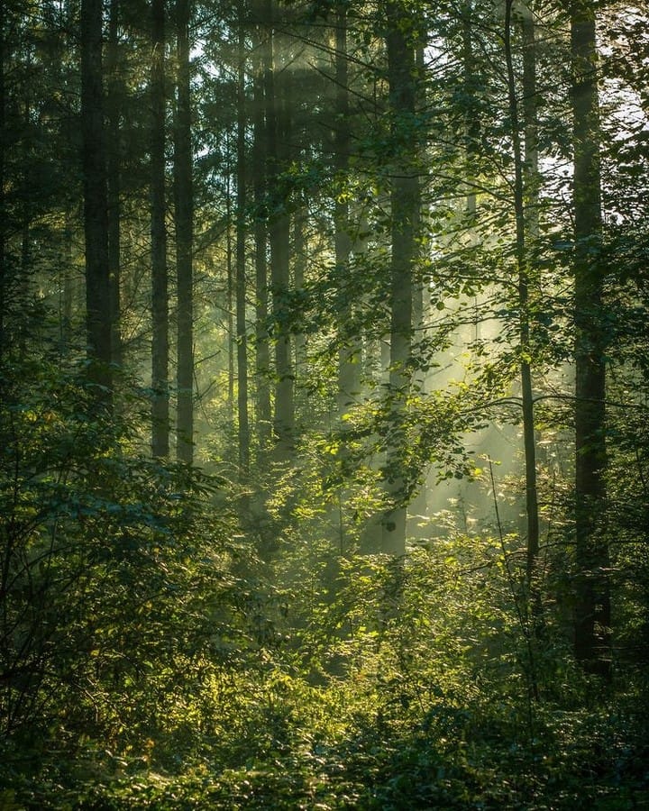 Post 2 by Kind & Collaborative Empowerment on Instagram (image)