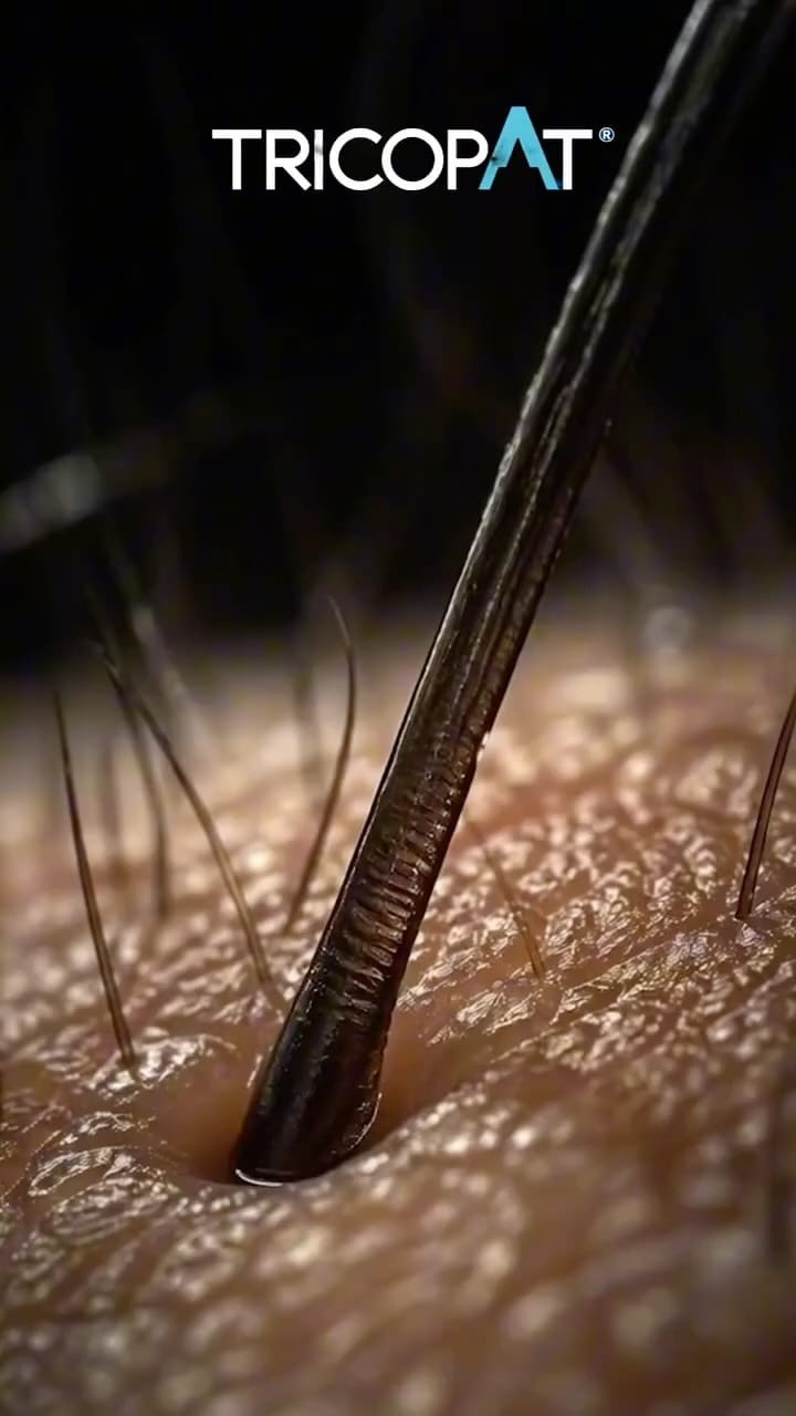 Post 6 by Dr Biljana Djurdjevic Miseljic on Instagram (video)