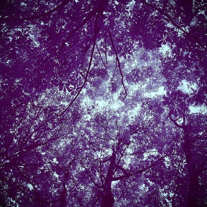Post 2 by Wolf Winters on Instagram (video)