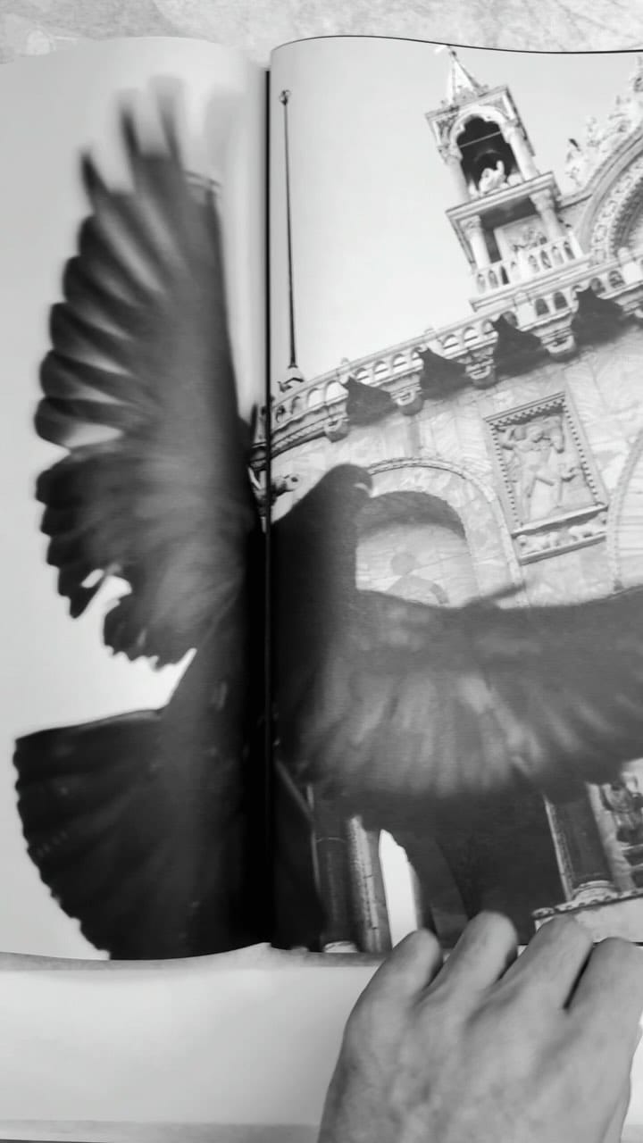 Post 10 by Houman Katoozi | photographer on Instagram (video)