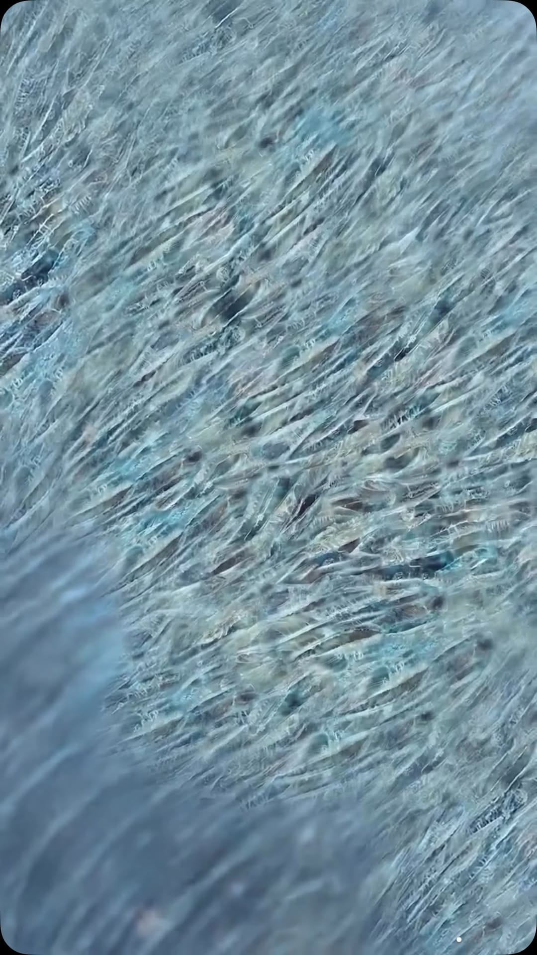 Post 2 by Dentissage on Instagram (video)