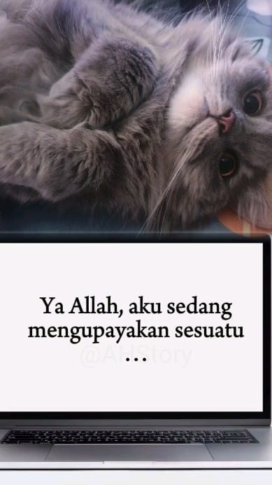Post 1 by Isma Dentist on Instagram (video)