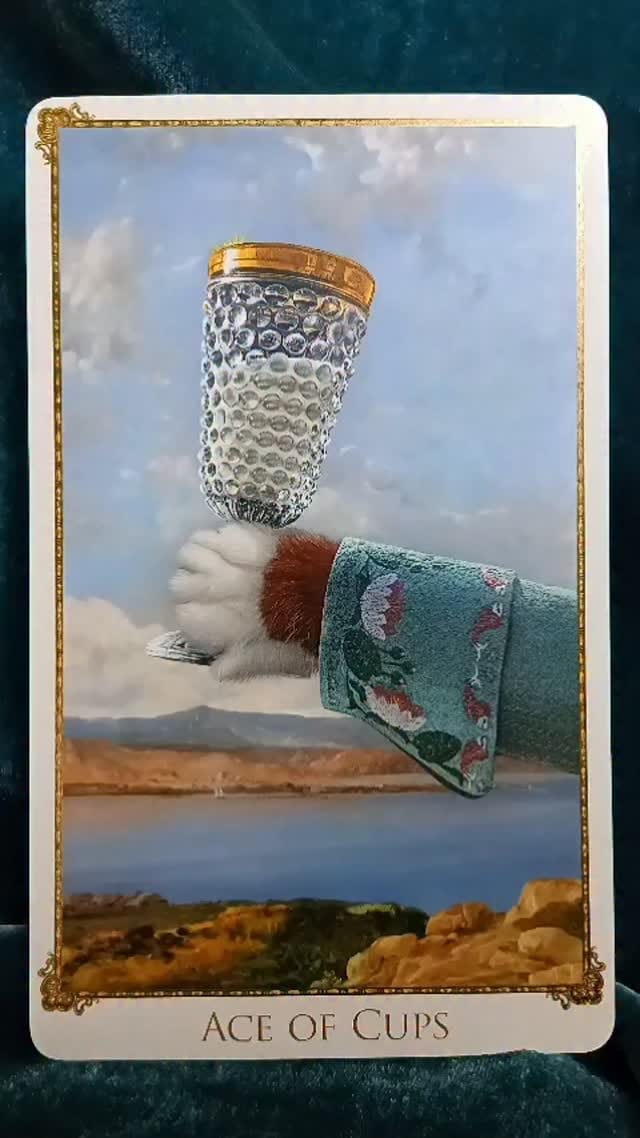 Post 1 by BabaBarock_BabaStudio on Instagram (video)