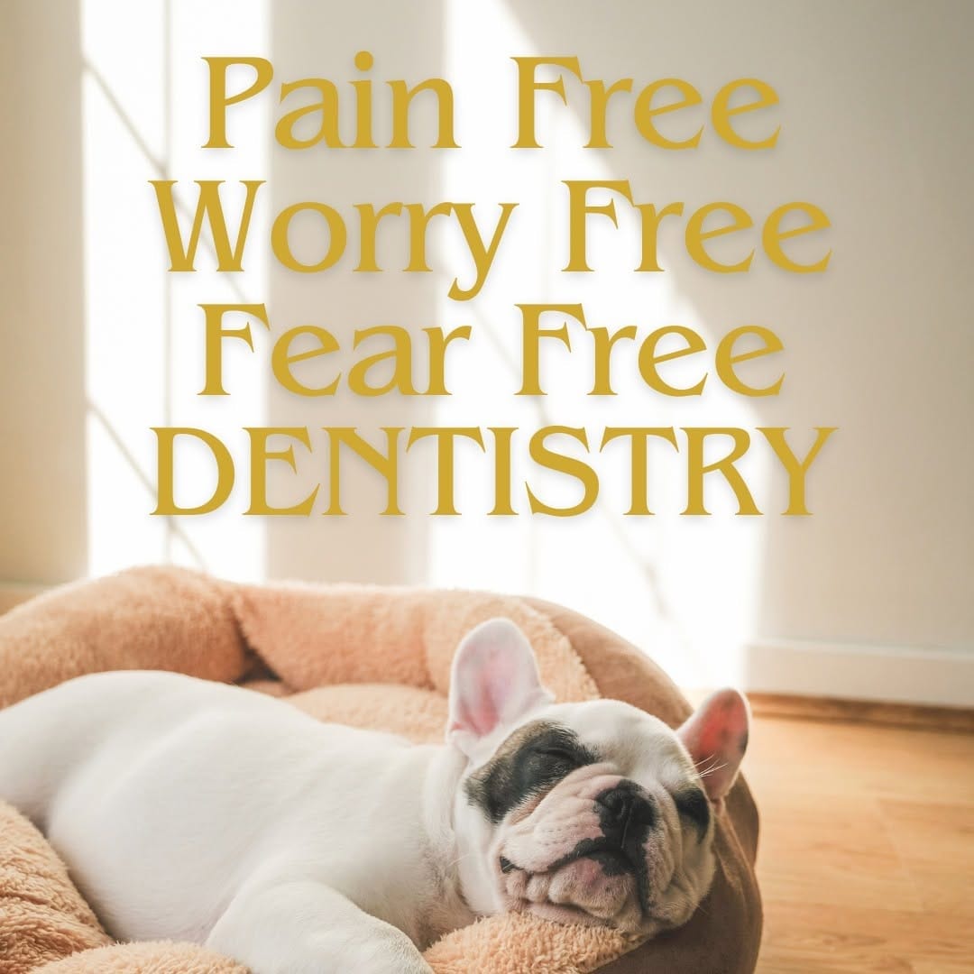 Post 5 by Royal Dental Care 🦷 on Instagram (carousel)