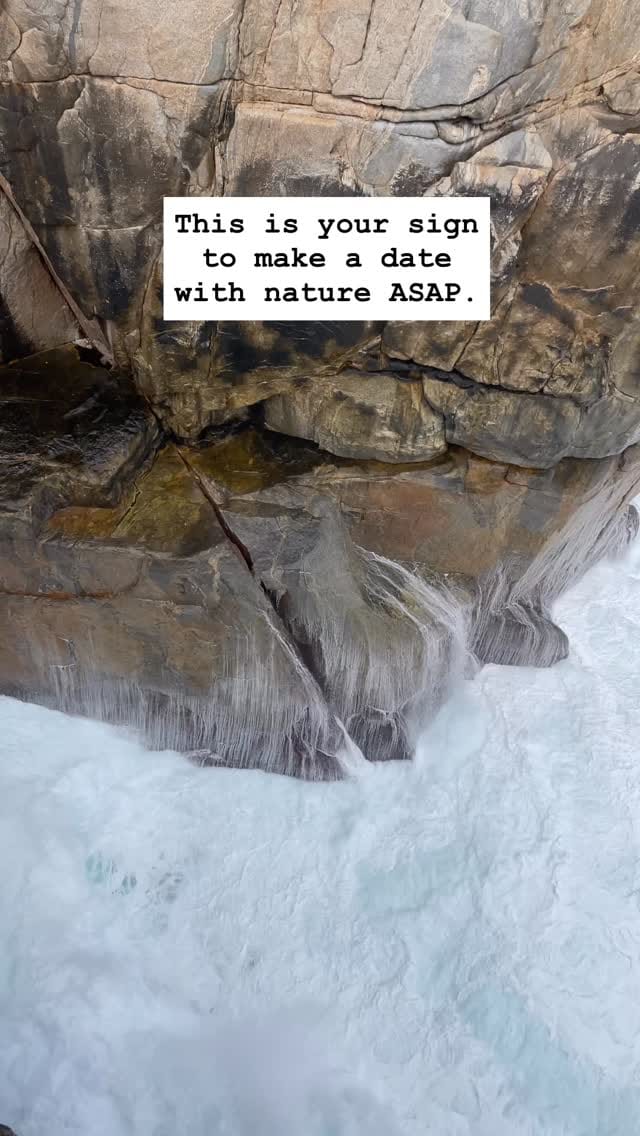 Post 8 by WELLNESS WA on Instagram (video)