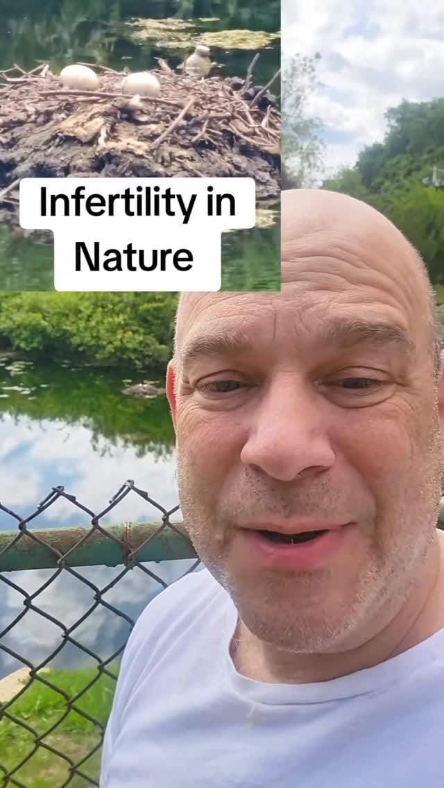 Post 5 by Steven Palter on Instagram (video)