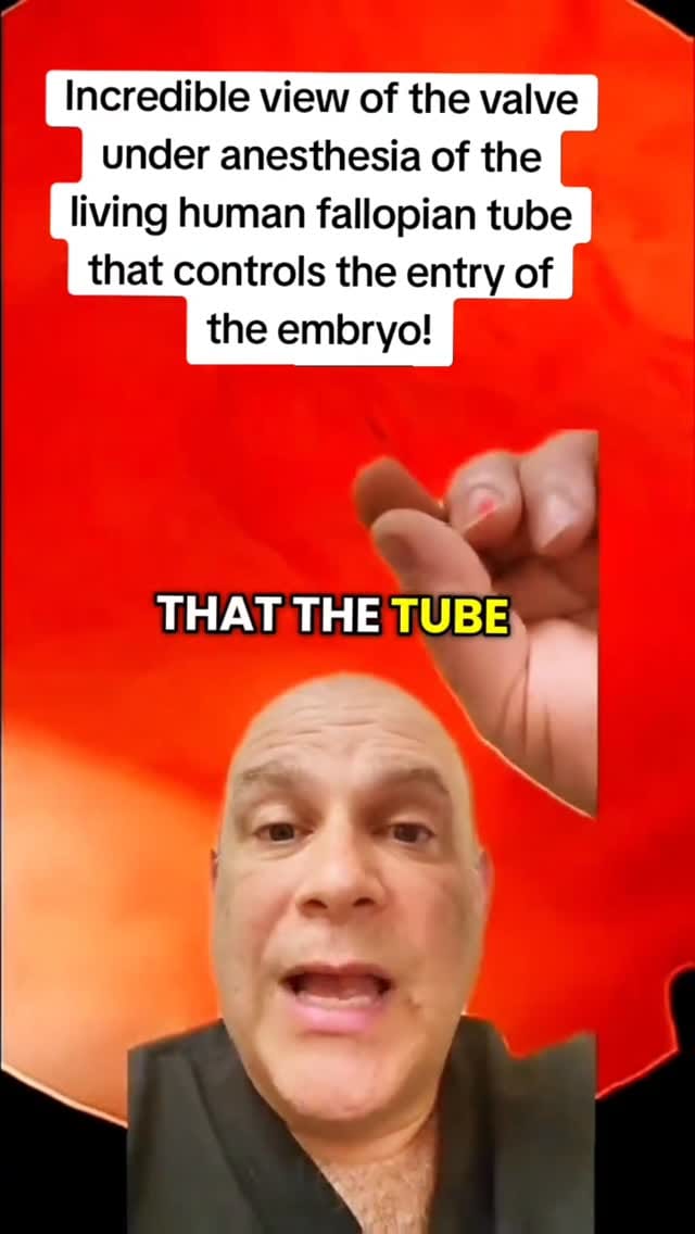 Post 9 by Steven Palter on Instagram (video)