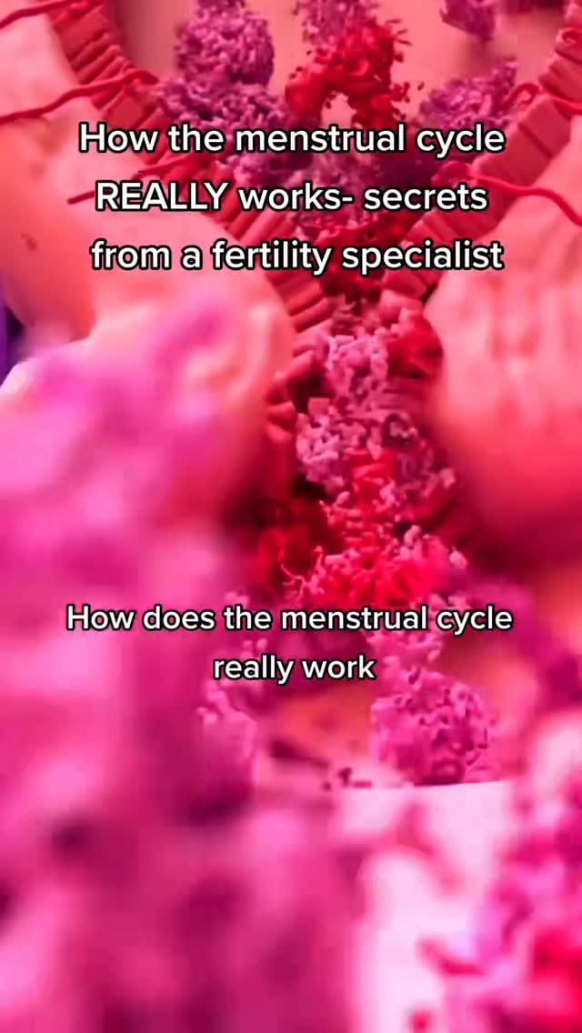 Post 8 by Steven Palter on Instagram (video)