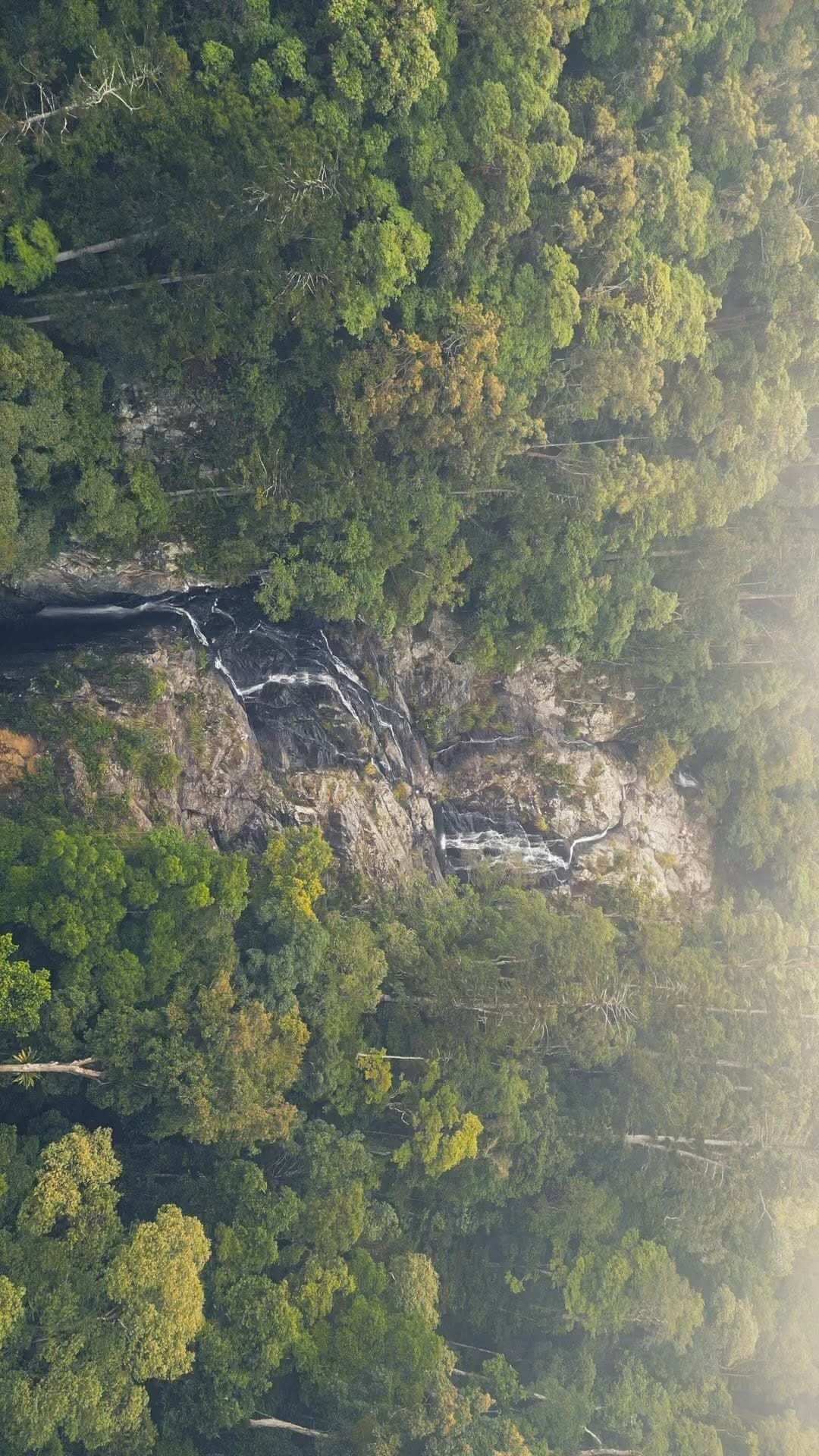 Post 7 by Peter Gundry on Instagram (video)