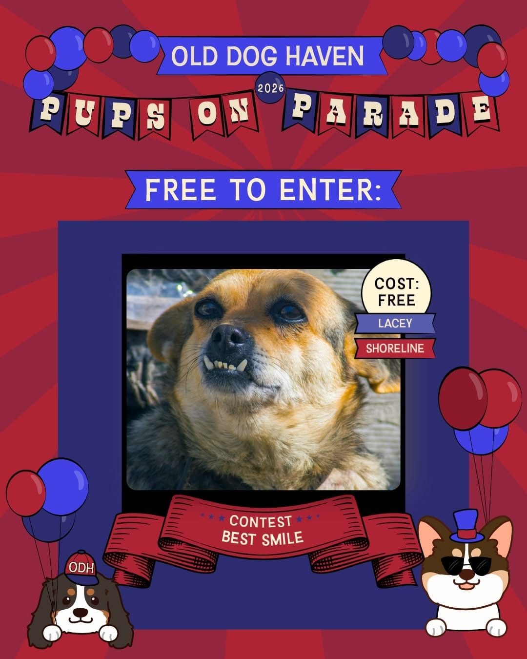 Post 4 by Old Dog Haven on Instagram (carousel)