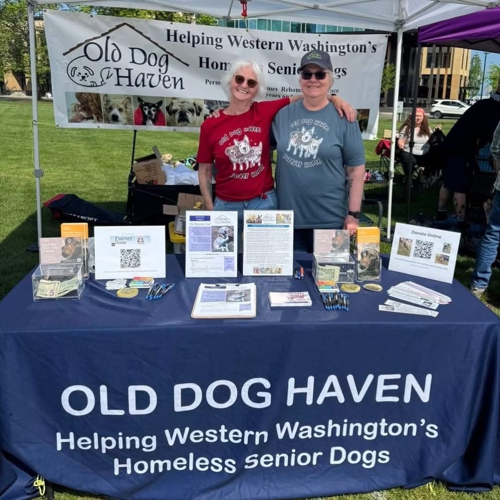 Post 6 by Old Dog Haven on Instagram (image)