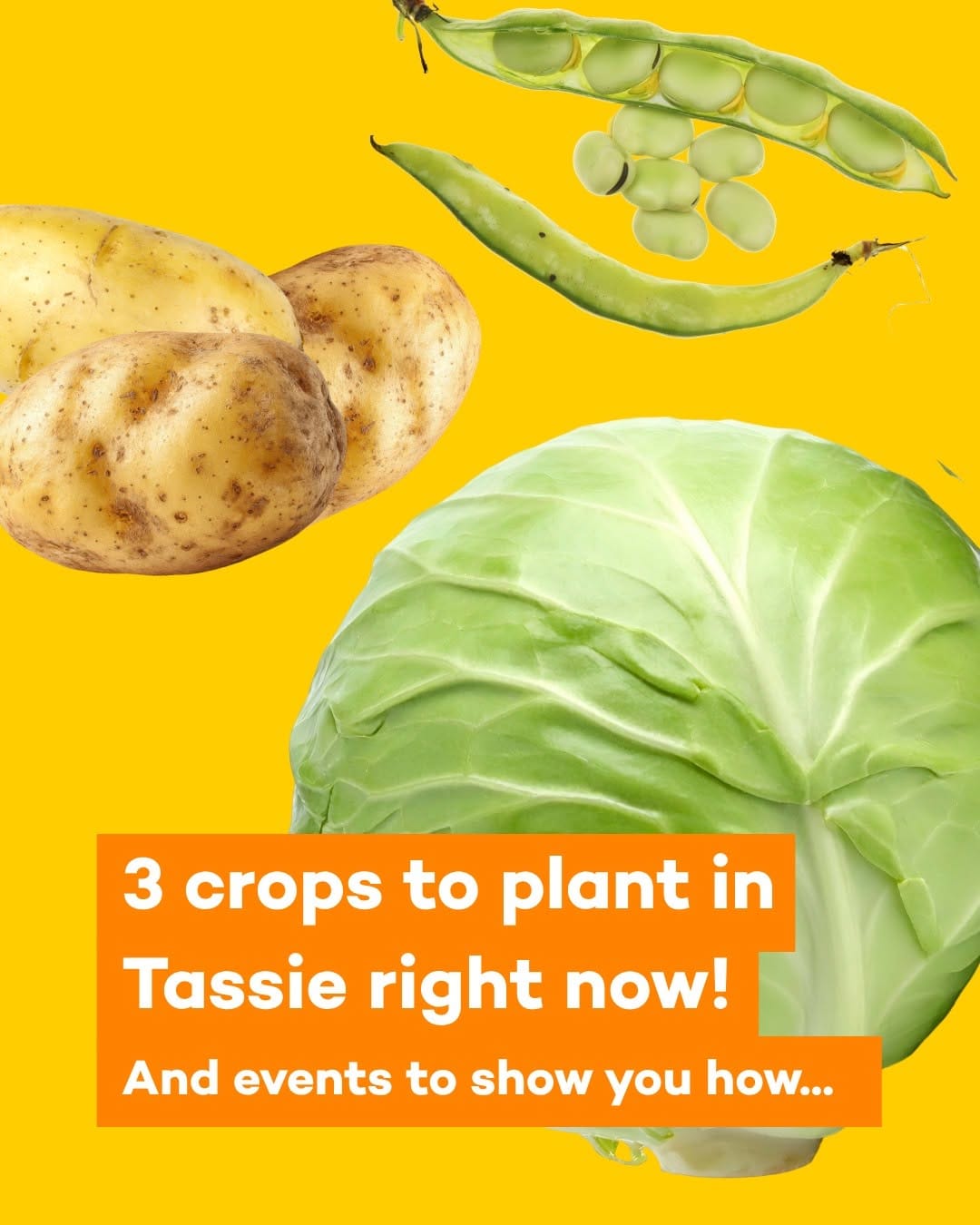 Post 8 by Eat Well Tasmania on Instagram (image)