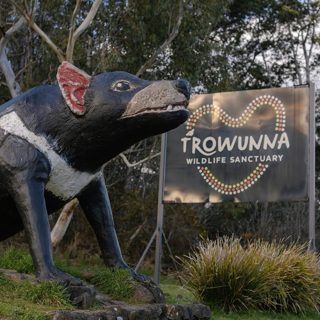 Post 2 by Trowunna Wildlife Sanctuary on Instagram (image)