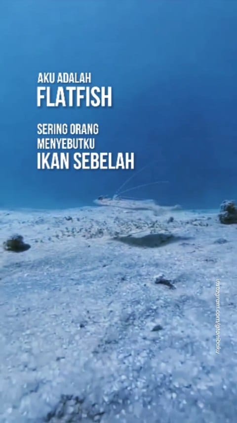 Post 2 by kutipan quotes kata motivasi on Instagram (video)