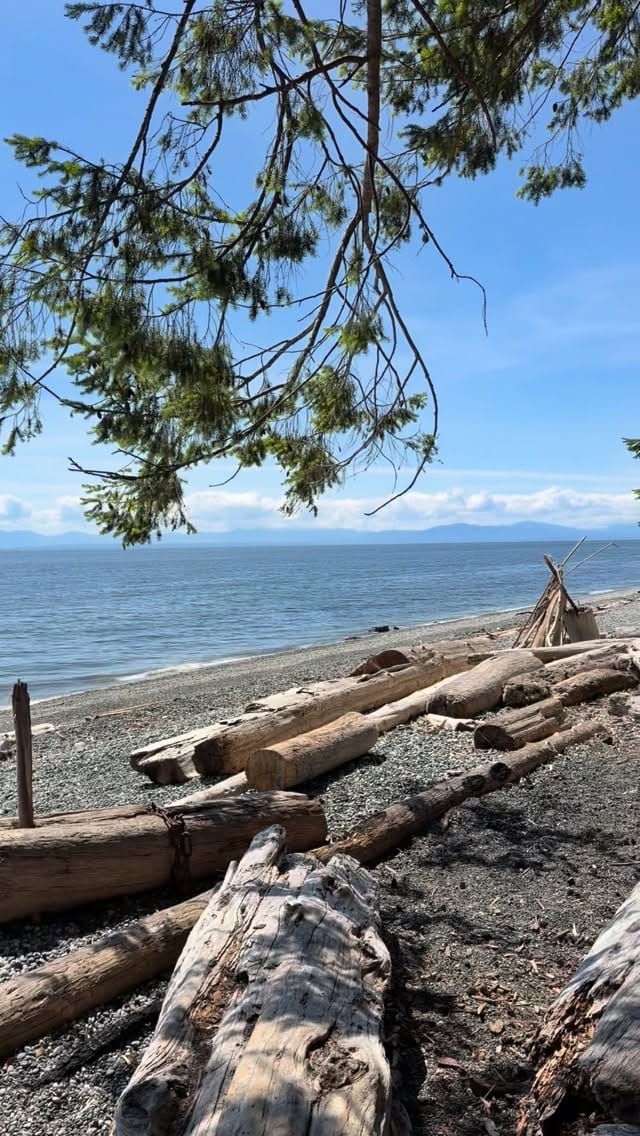 Post 6 by Sue Scott Personal Real Estate Corporation on Instagram (video)