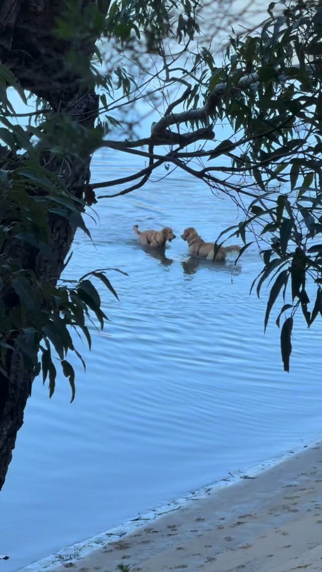 Post 2 by Emma Louise on Instagram (video)