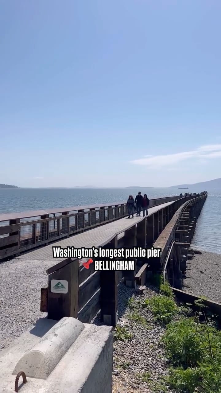 Post 10 by Paulina + Jacson | Bellingham Realtors on Instagram (video)