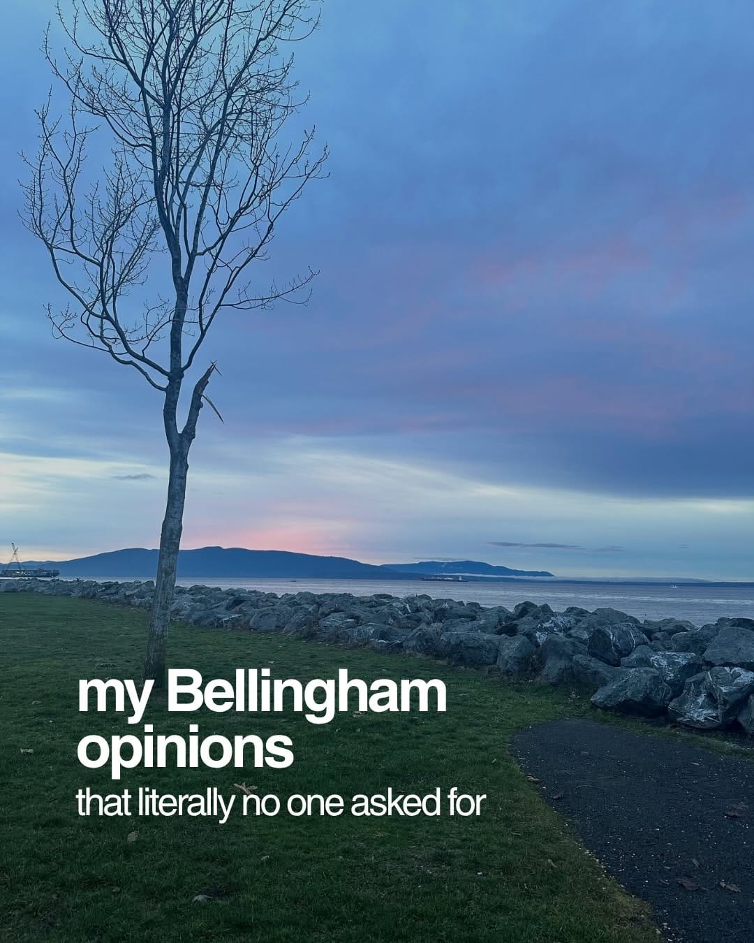 Post 3 by Paulina + Jacson | Bellingham Realtors on Instagram (carousel)