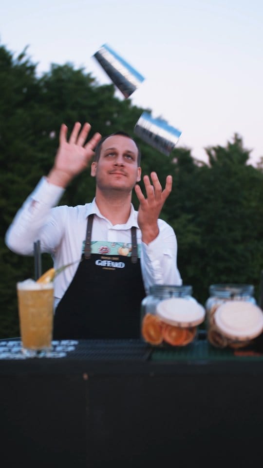 Post 9 by Vila u Banjaluci. on Instagram (video)