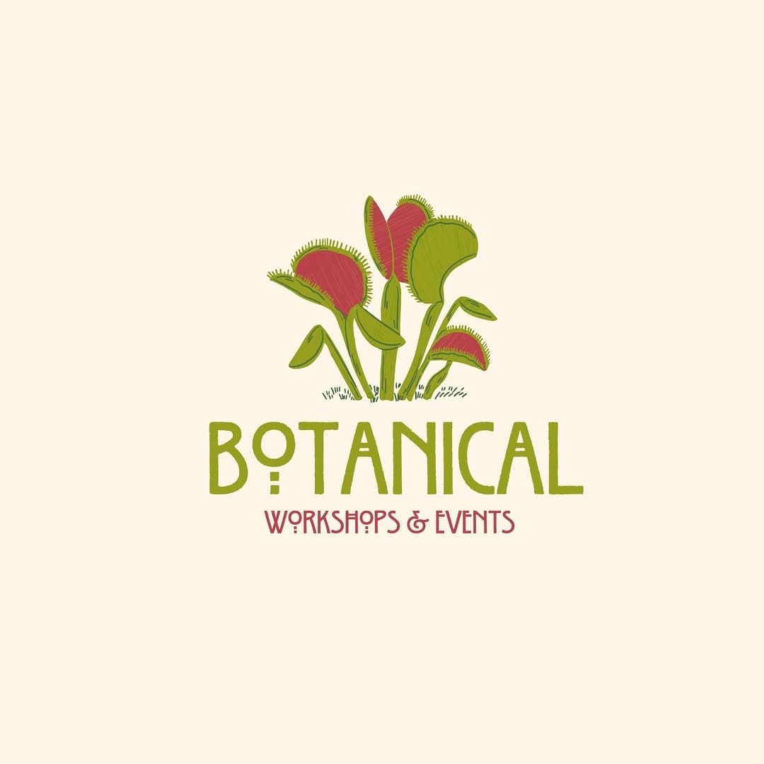 Post 2 by TheLittleShopofPlants on Instagram (image)