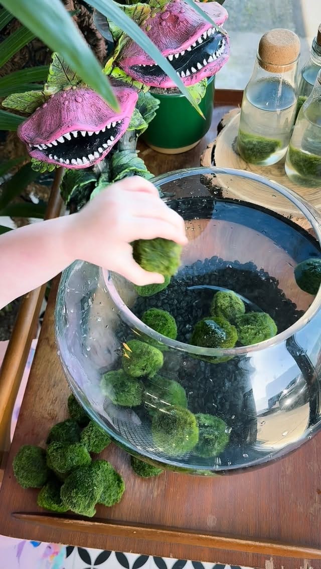 Post 5 by TheLittleShopofPlants on Instagram (video)