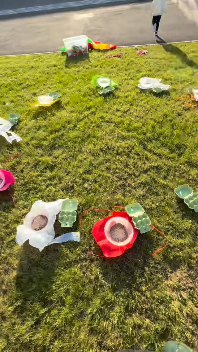 Post 3 by TheLittleShopofPlants on Instagram (video)