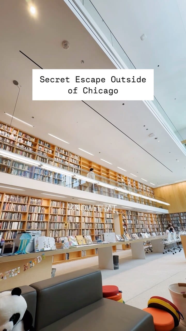 Post 9 by Eugene Fu | Fu Group Chicago Luxury Real Estate on Instagram (video)