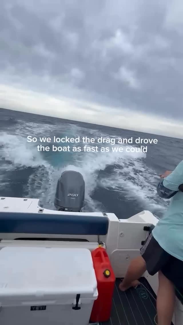Post 10 by Tom Walker on Instagram (video)