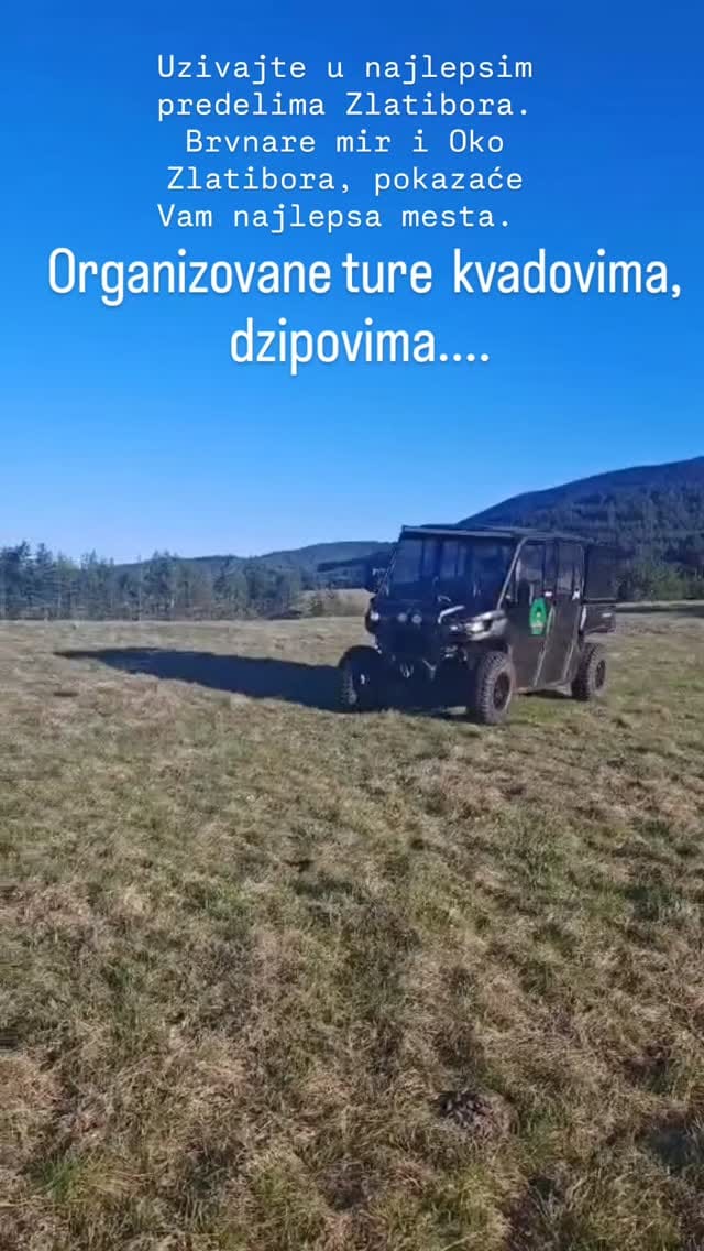 Post 4 by Zlatibor Brvnare Mir on Instagram (video)