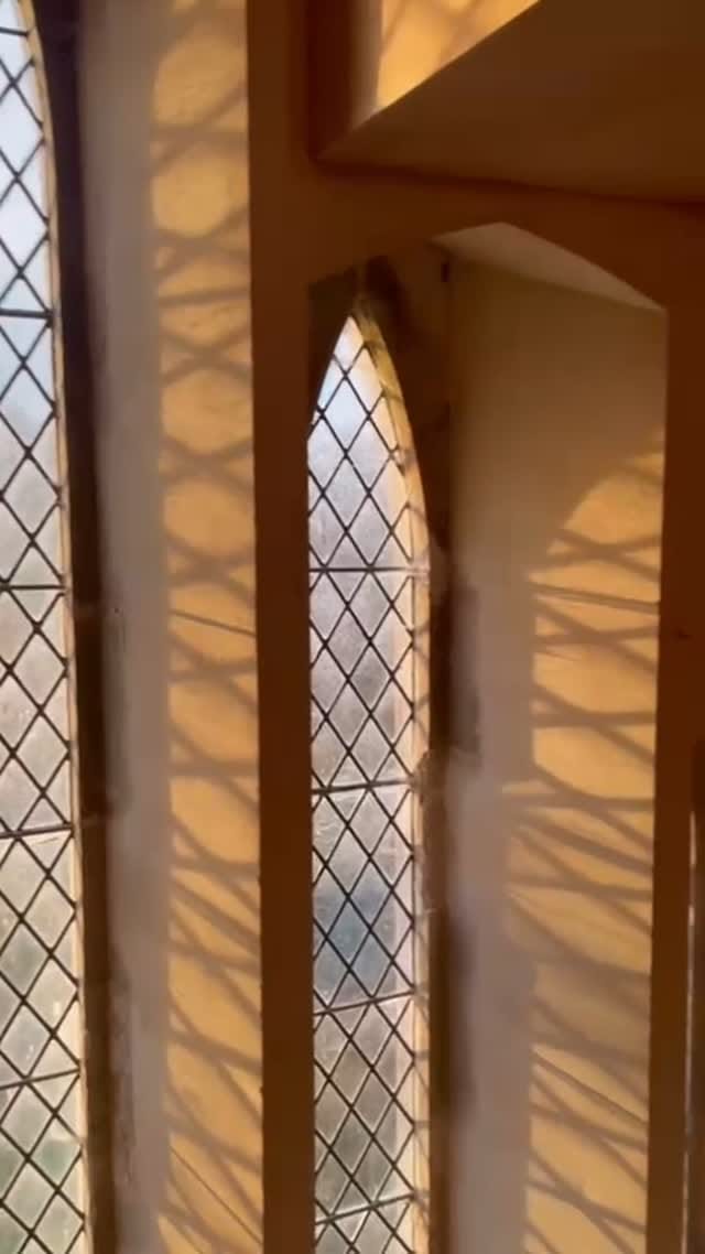 Post 8 by Jonathan Wedge | The Wedge Family on Instagram (video)