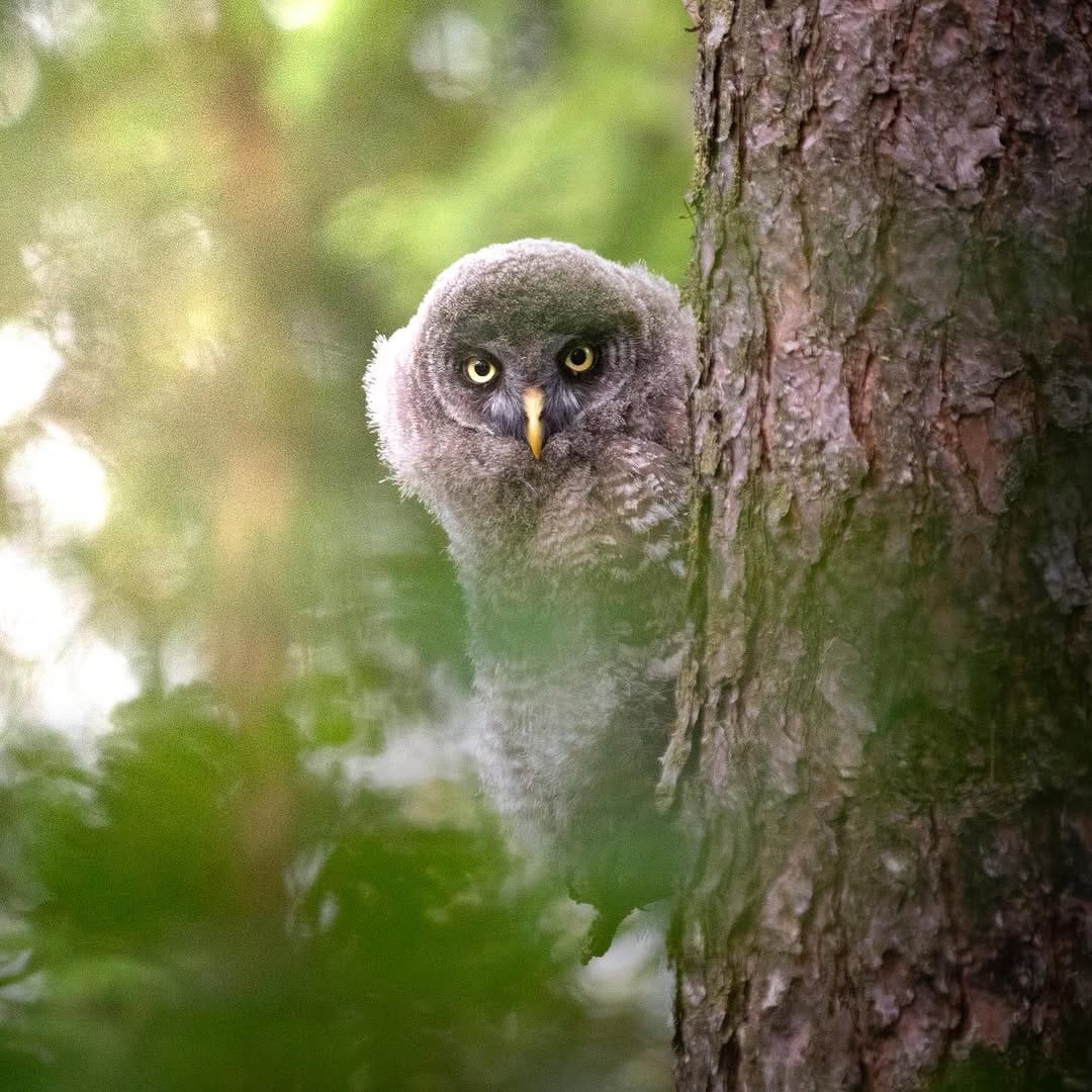 Post 6 by Mattias on Instagram (image)
