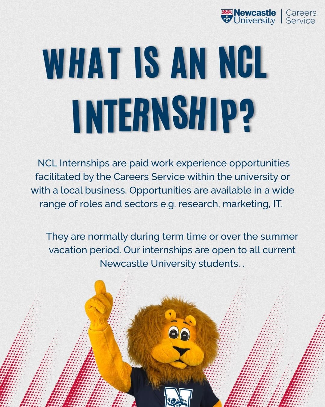 Post 8 by Newcastle Uni Careers Service on Instagram (carousel)